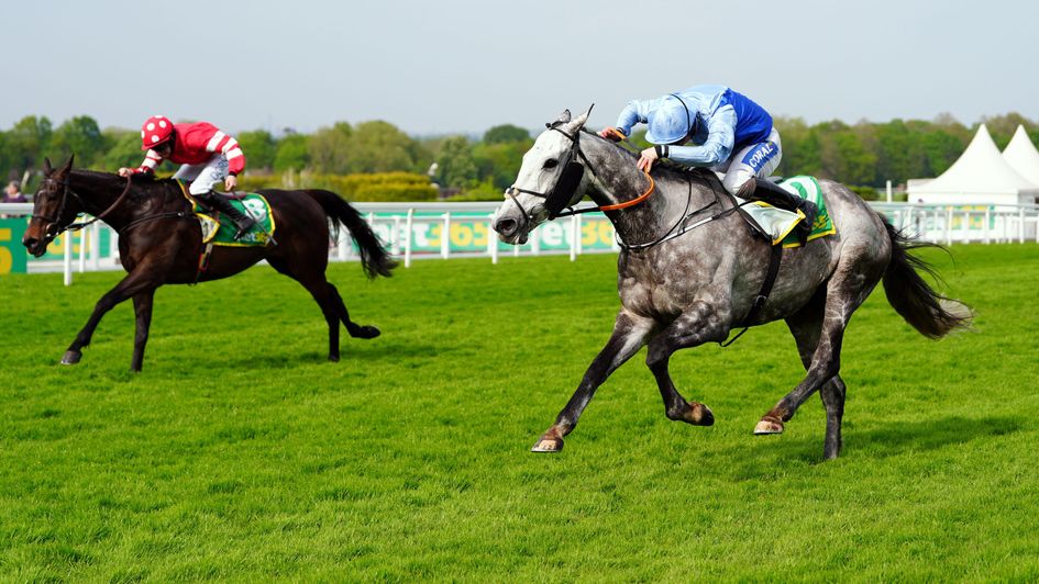 Resplendent Grey winning at Sandown