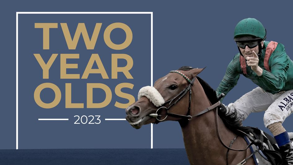 Two-Year-Old Guide 2023