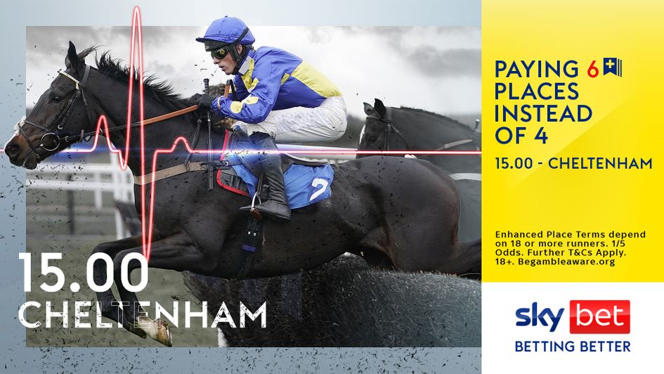 Check out Sky Bet's big Cheltenham offers
