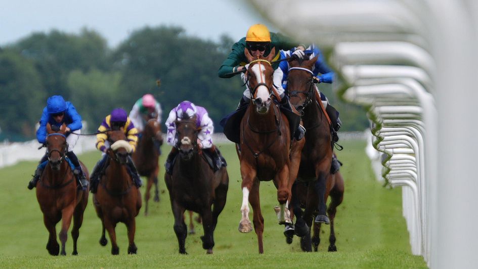 Newbury's Darley EBF Fillies' Novice Stakes from the weekend could be a race to monitor going forward