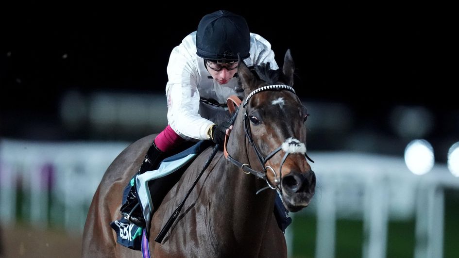 Constitution Hill storms to victory at Southwell