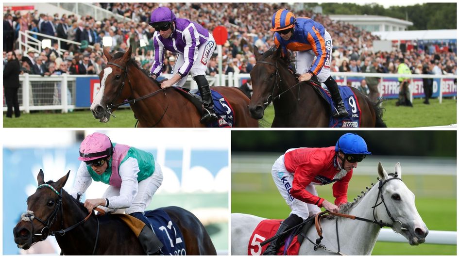 Some of the fillies expected to run in the Yorkshire Oaks