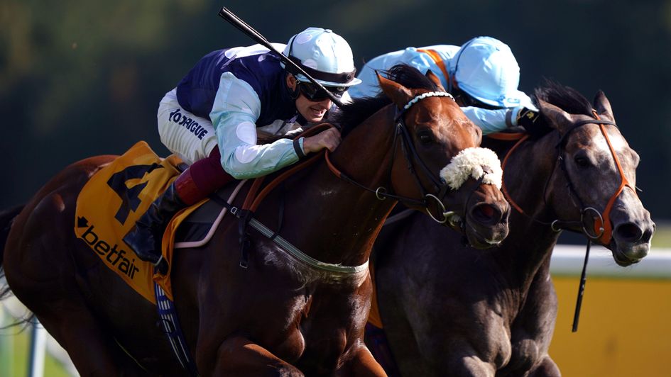 Regional battles to victory in the Betfair Sprint Cup
