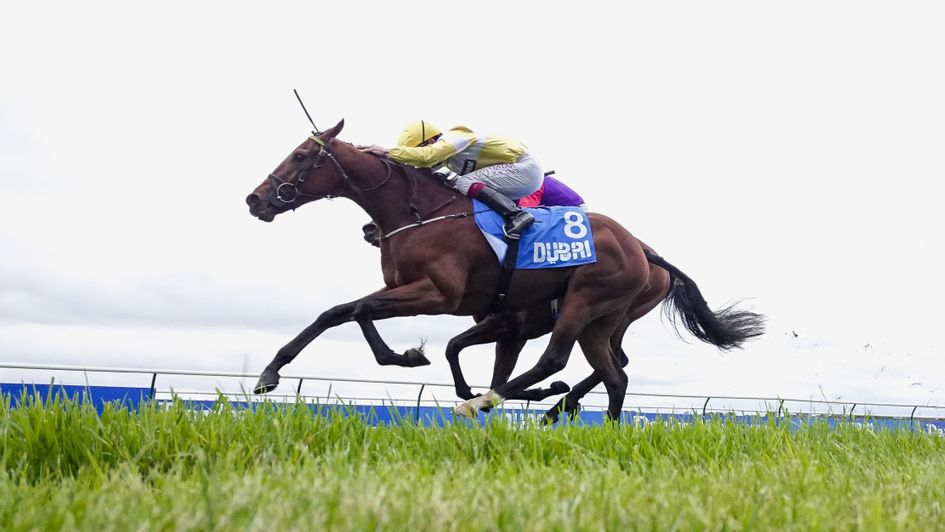 Peter Naughton Notebook: Eyecatchers and horses to follow from the TV ...