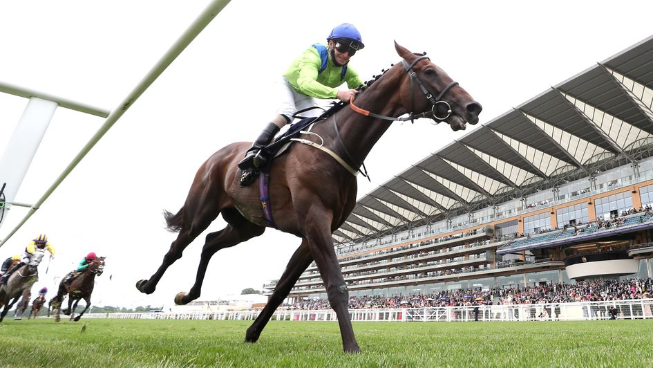 Subjectivist wins the Gold Cup at Royal Ascot