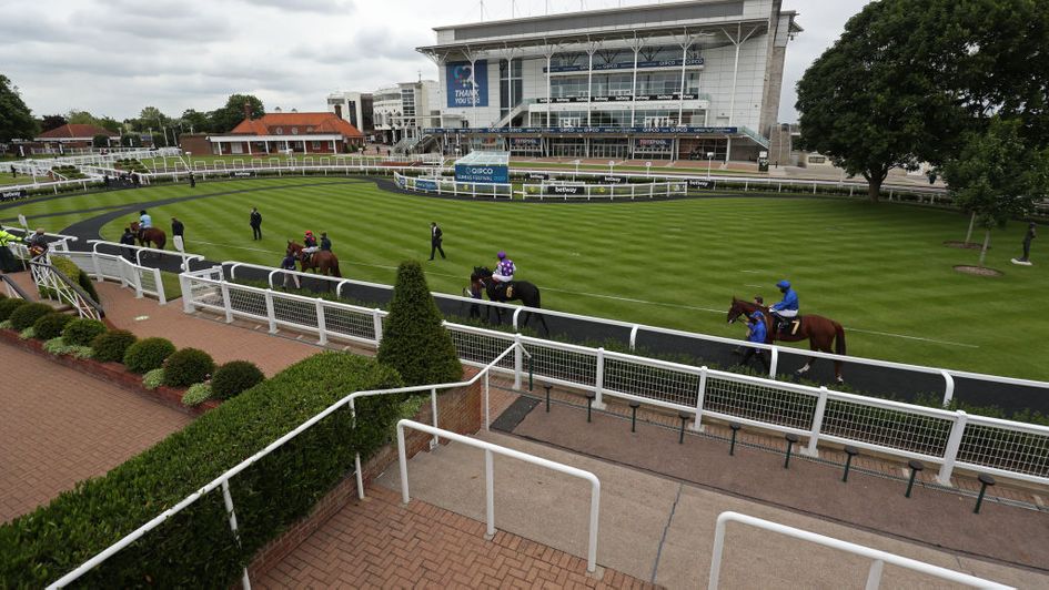 Our team have selections for Sunday's action