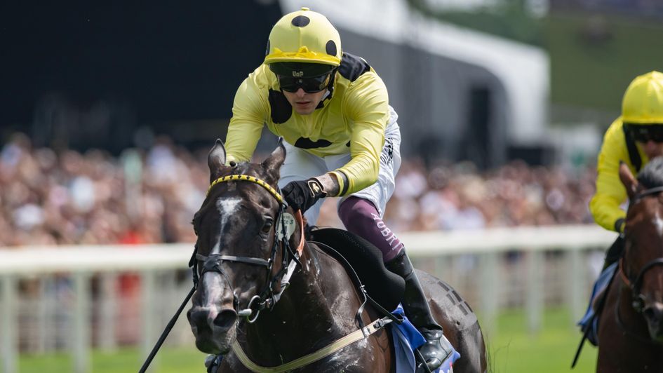 Royal Champion winning last year's Sky Bet York Stakes