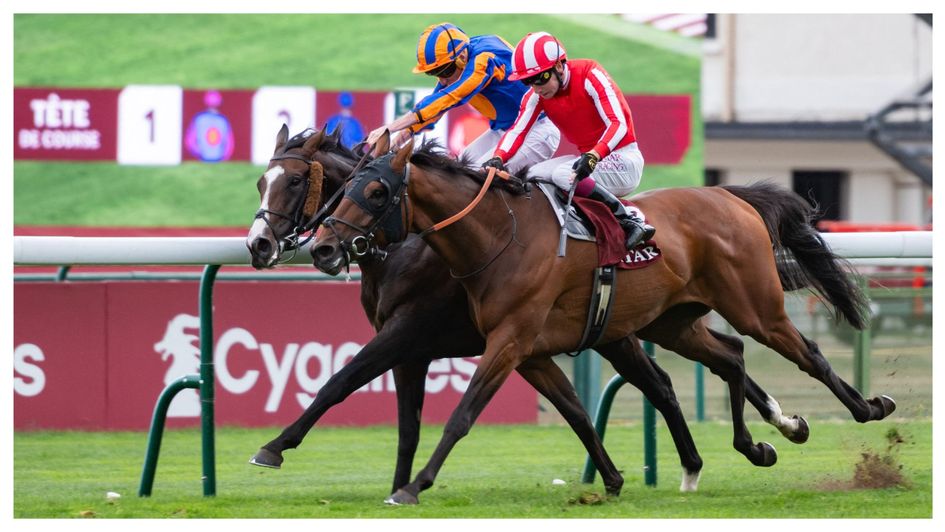 Caballo De Mar beats Scandinavia in the Cadran
