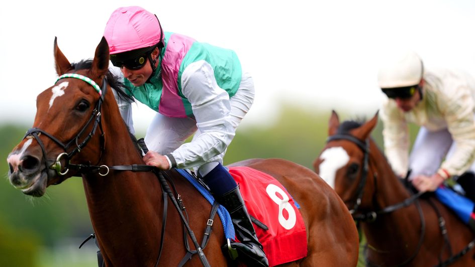 Siyola - set for Musidora