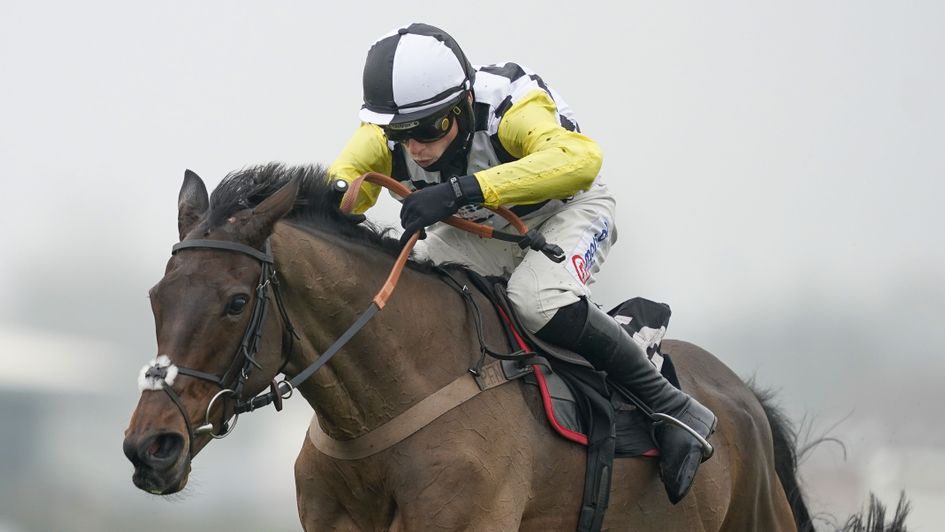 Next Destination - winning start over fences