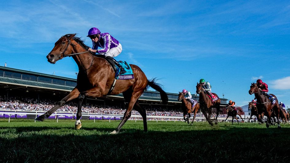 Sun Goddess was a class apart in the Breeders' Cup Juvenile Fillies Turf
