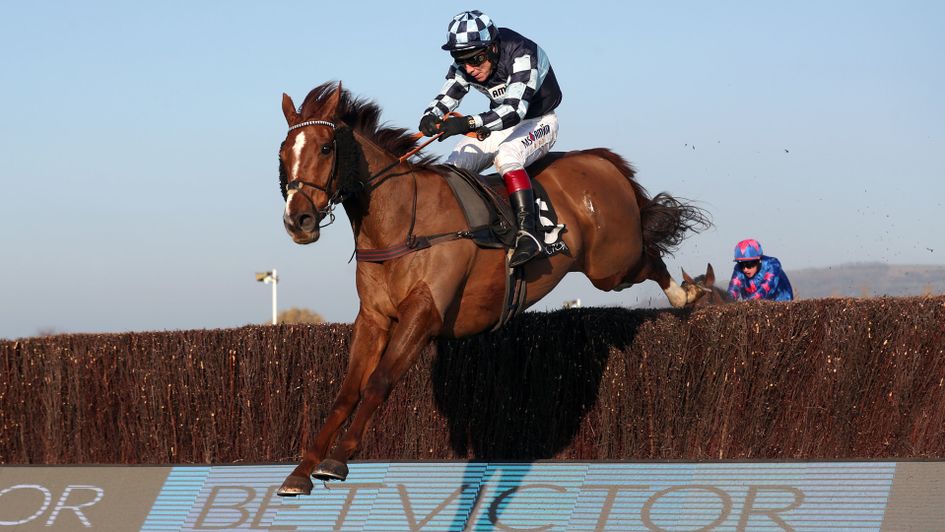 Rock The Kasbah looking resplendent at Cheltenham