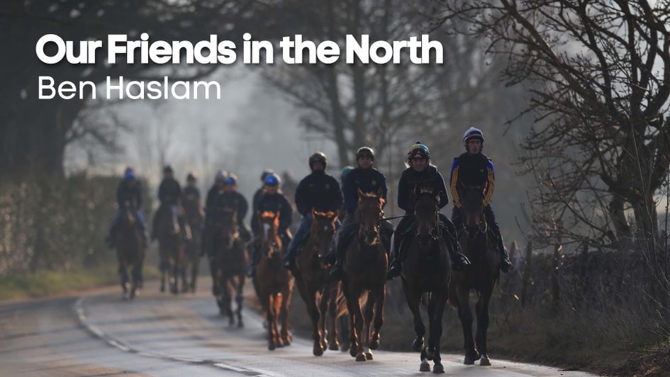 Horses on their way to exercise in Middleham