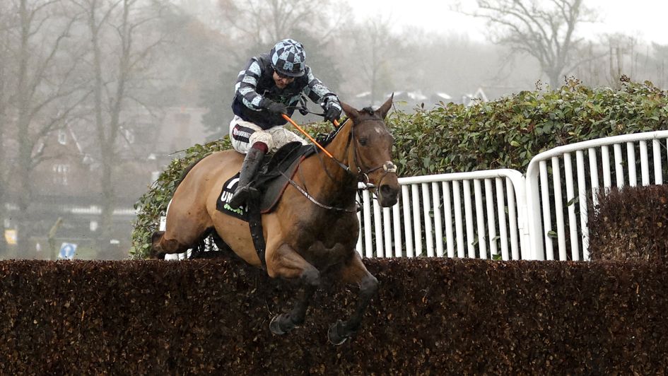 National Hunt season Olly Murphy horses to follow