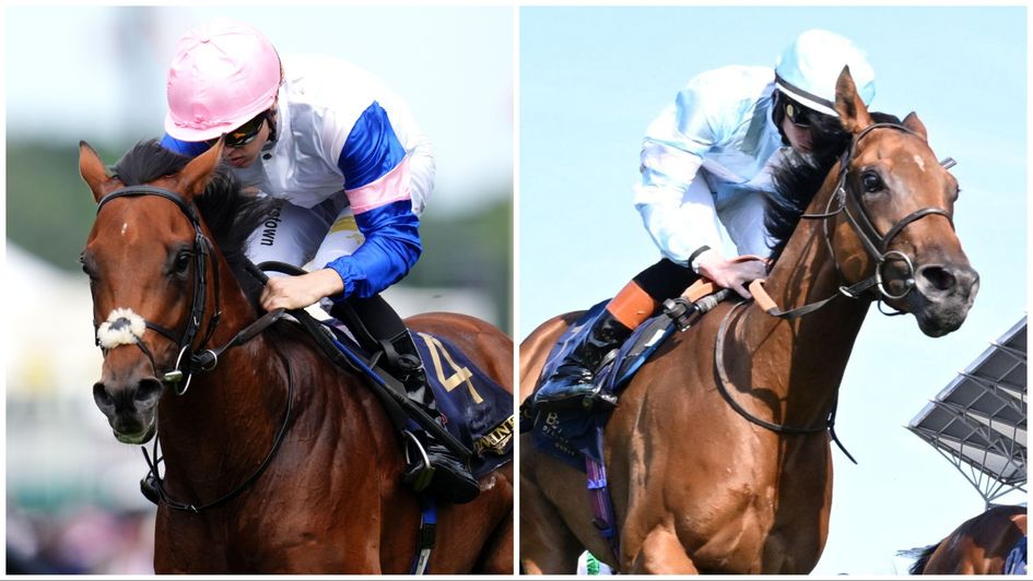 Best bets for the Sky Bet Ebor Festival