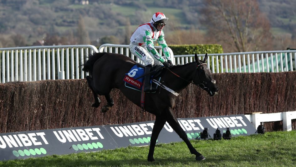 Mister Fisher got the job done at Cheltenham