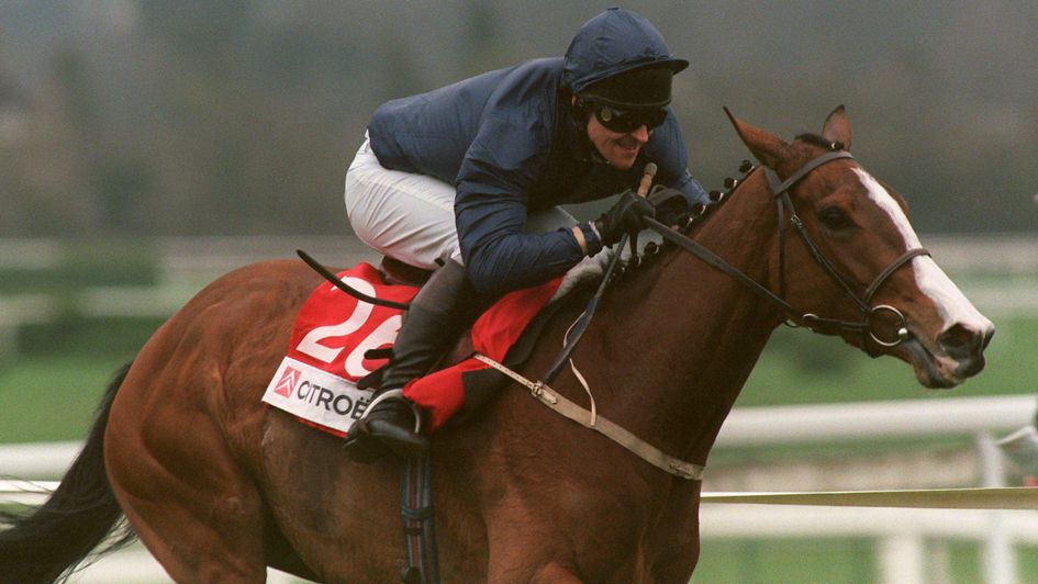 Graham Bradley and French Ballerina power up the Cheltenham hill
