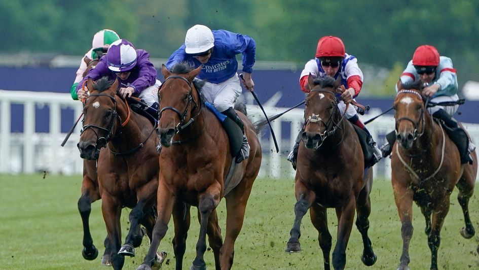 Noble Style won a red-hot contest first time out at Ascot