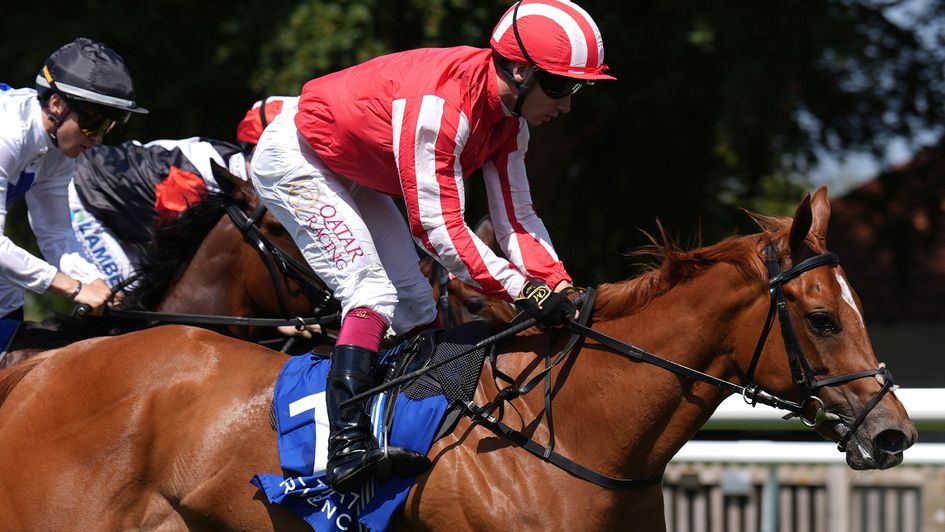 Senorita Bonita pictured winning at Newmarket