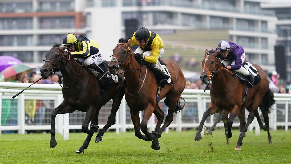 Mister Sketch (black cap) will run in new colours on Saturday