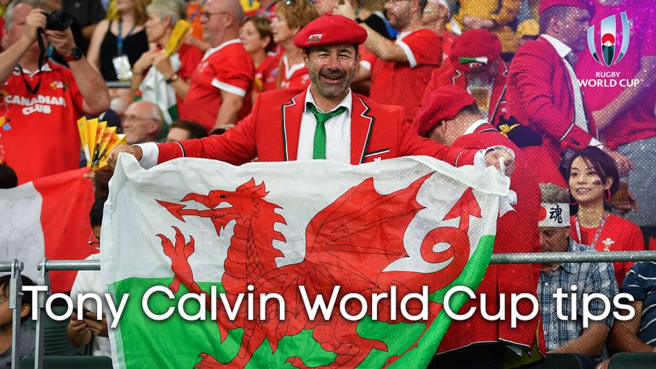 Wales face South Africa on Sunday