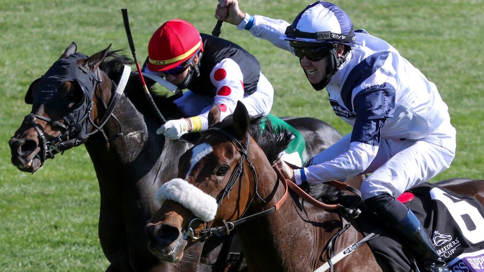 Tom Eaves celebrates on Glass Slippers