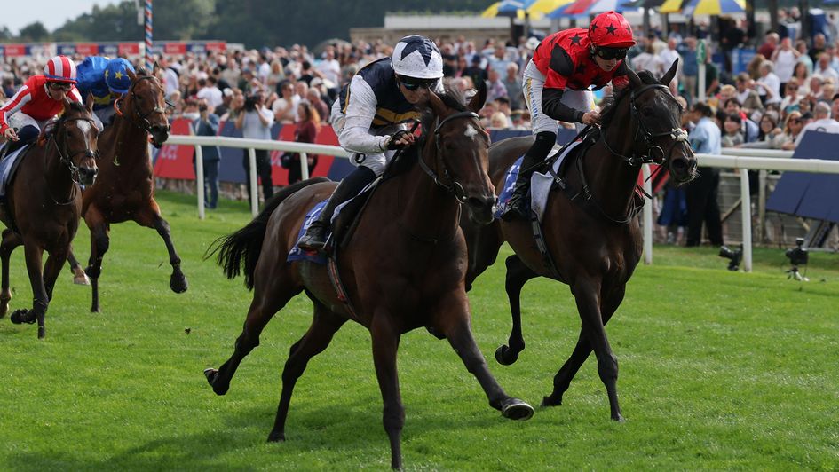 Small Fry on his way to a comfortable success at York