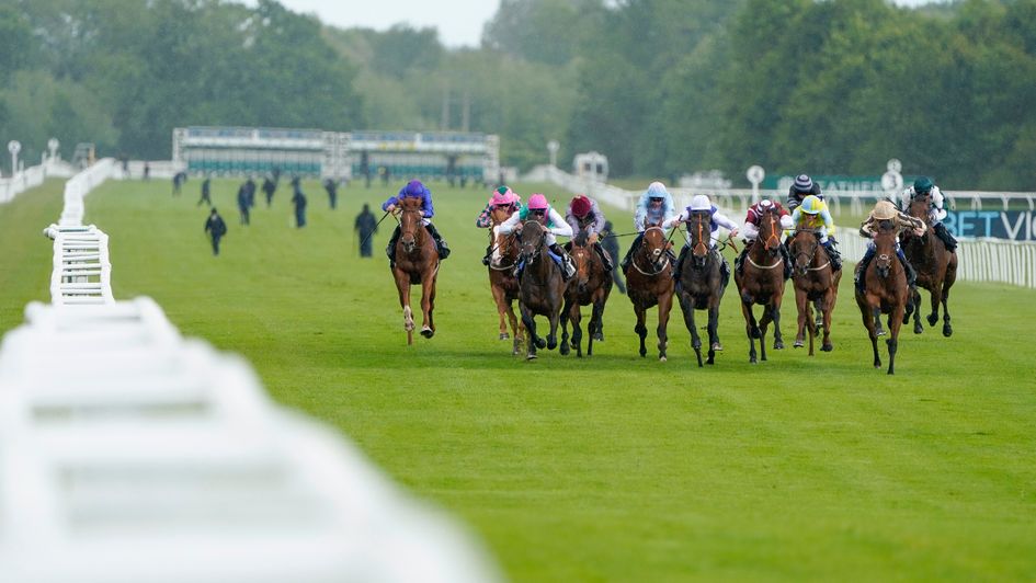 Timeform ratings three improvers with the Large P symbol