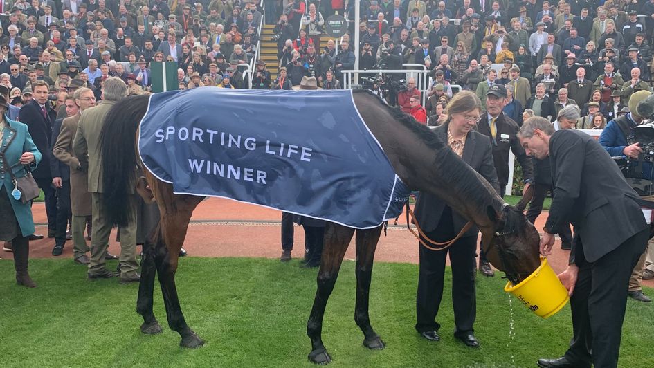Sporting Life Arkle winner Edwardstone enjoys a well-earned drink