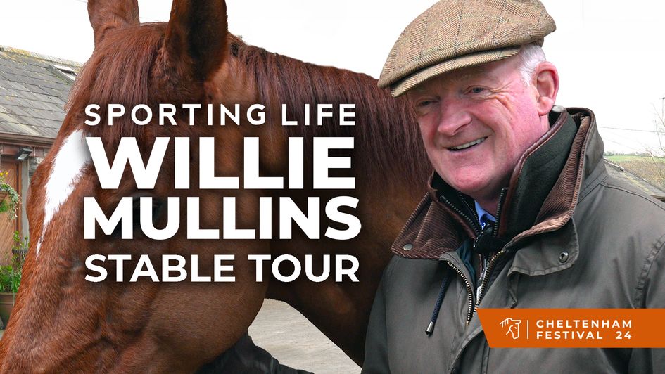 Willie Mullins Stable Tour