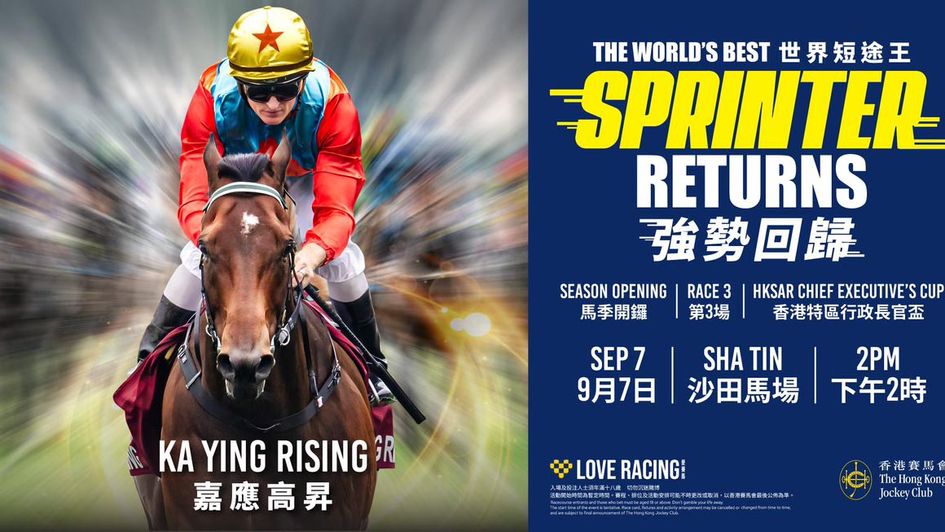 The Stars are about to shine again