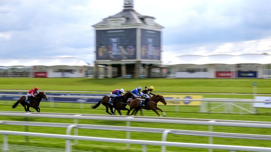 Project Dante pictured winning first time out at York