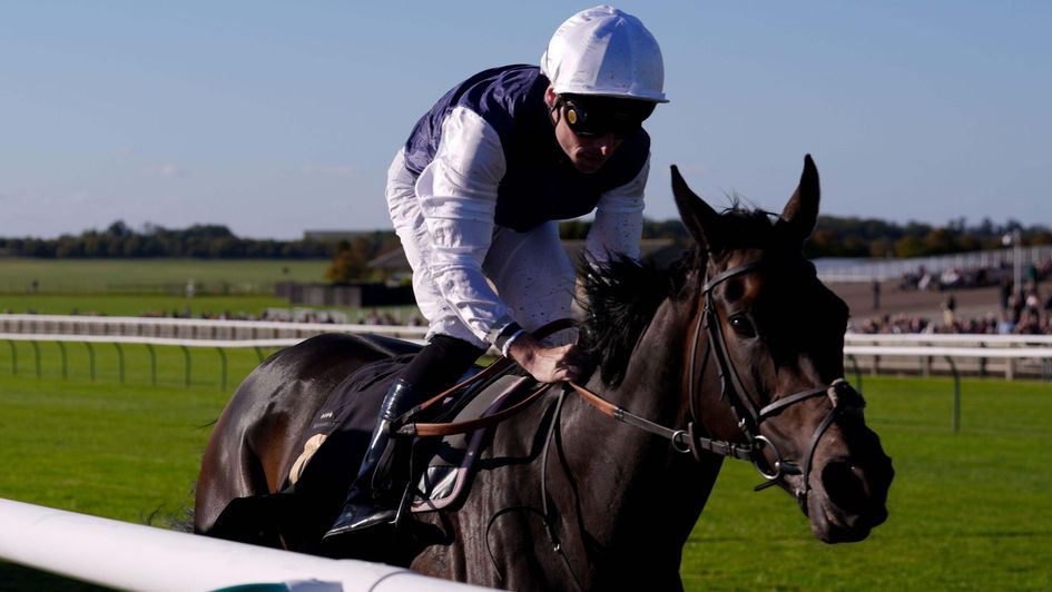 Miss Alpilles on her way to winning the Jockey Club Rose Bowl Stakes