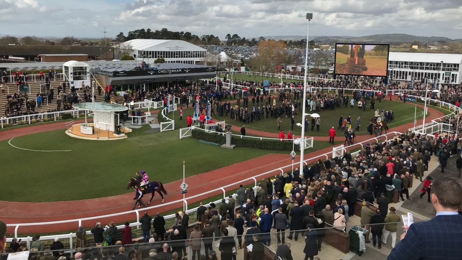 A view of the Cheltenham parade ring, Gold Cup day 2018