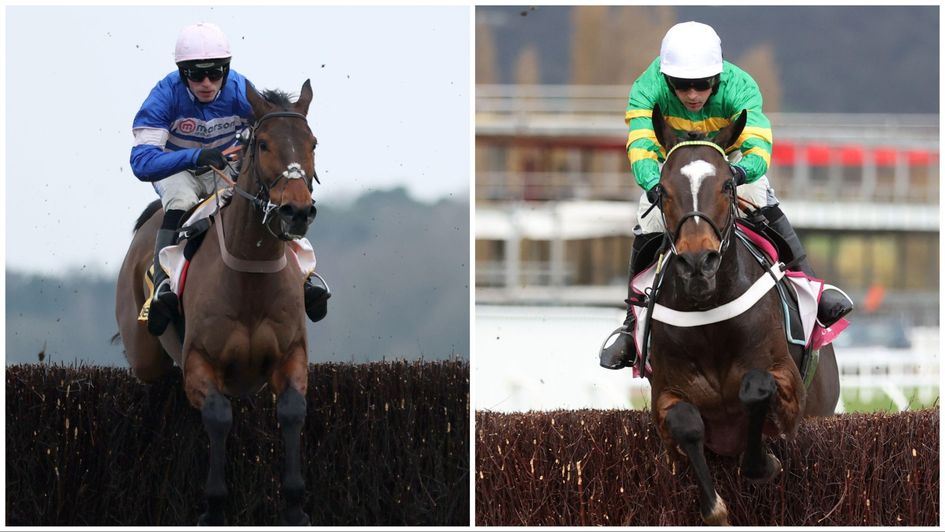 Pic D'orhy (left) and Jonbon will meet on Saturday