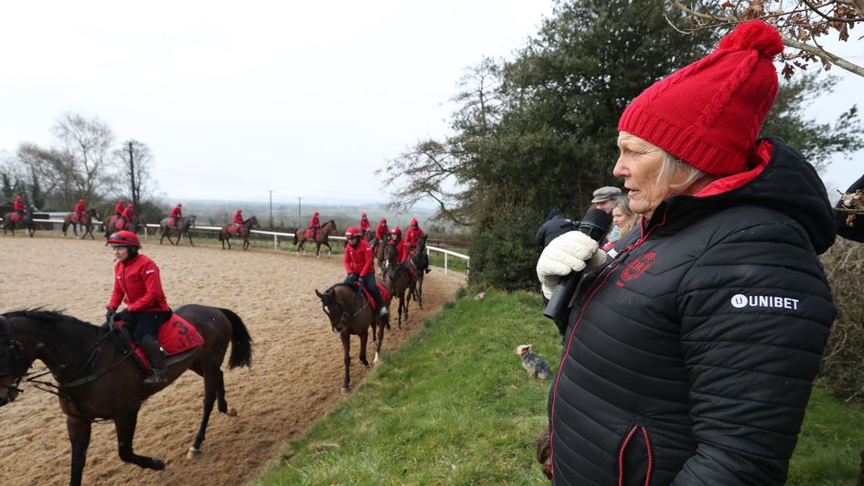 Jessica Harrington oversees her Cheltenham team