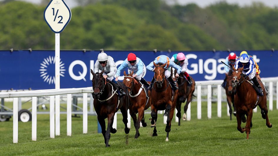 Dee Ex Bee wins the Sagaro Stakes under William Buick