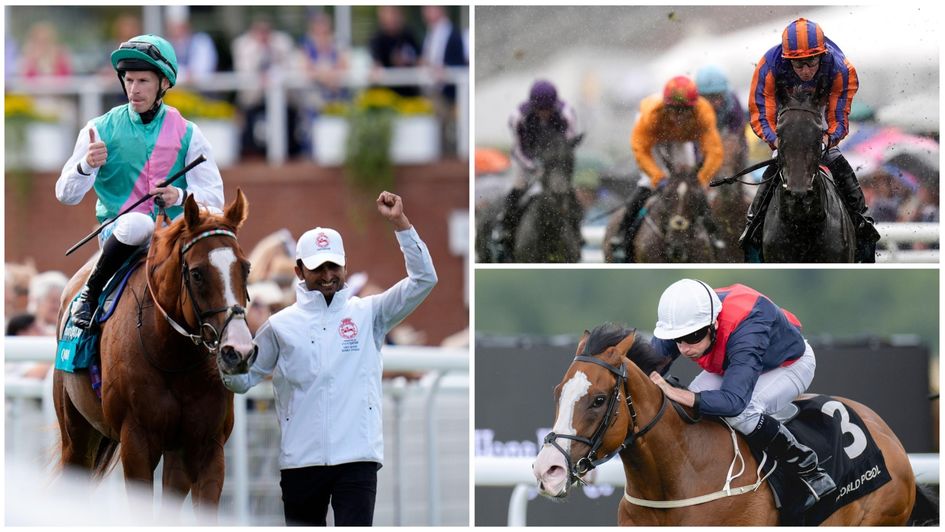 Some of the stars of the week