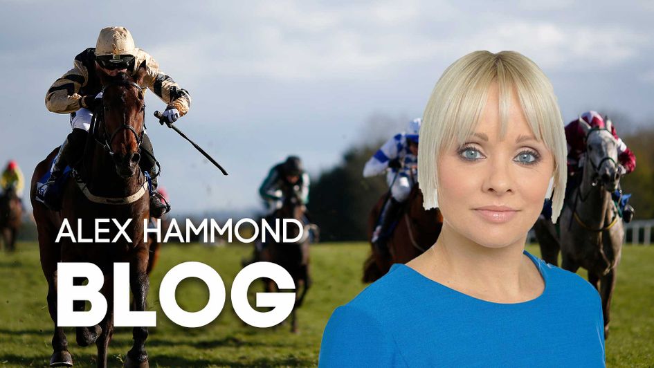 Check out Alex Hammond's latest blog