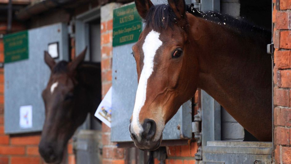Sporting Life Stable Tours