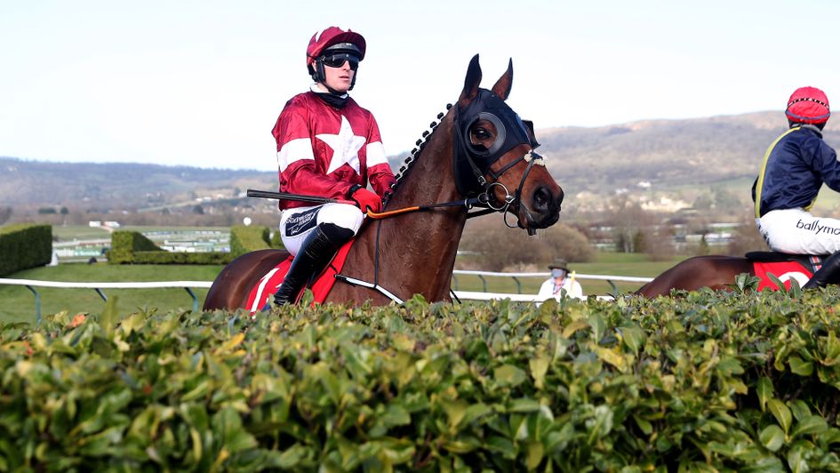 The magnificent Tiger Roll