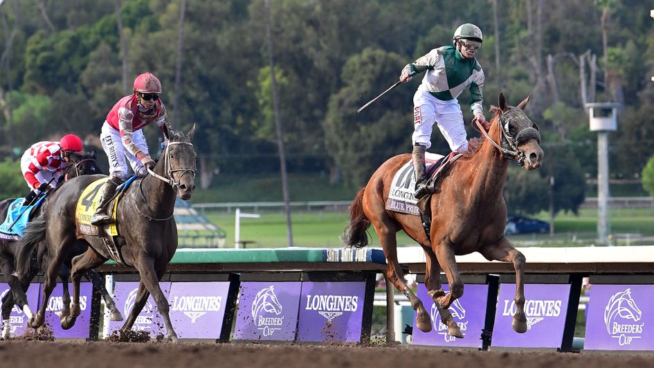 Blue Prize defies Midnight Bisou