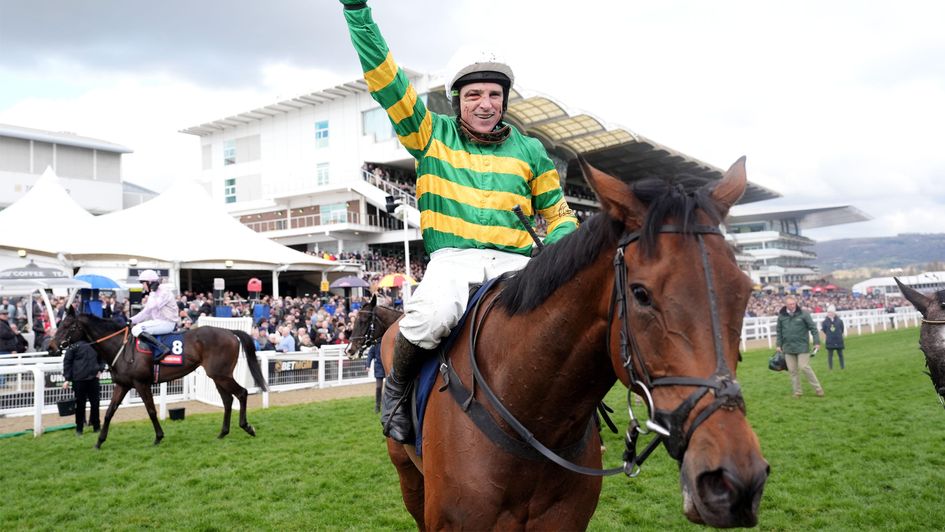 The New Lion and Harry Skelton are winning at Cheltenham