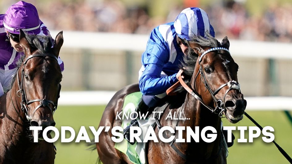 Jash looks a value call in the Commonwealth Cup