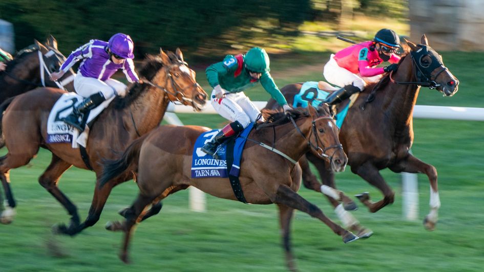 Tarnawa on her way to Turf glory