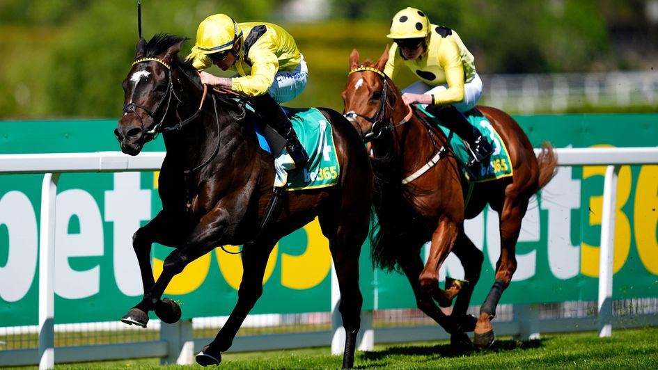 Saddadd has the measure of King Of Cities