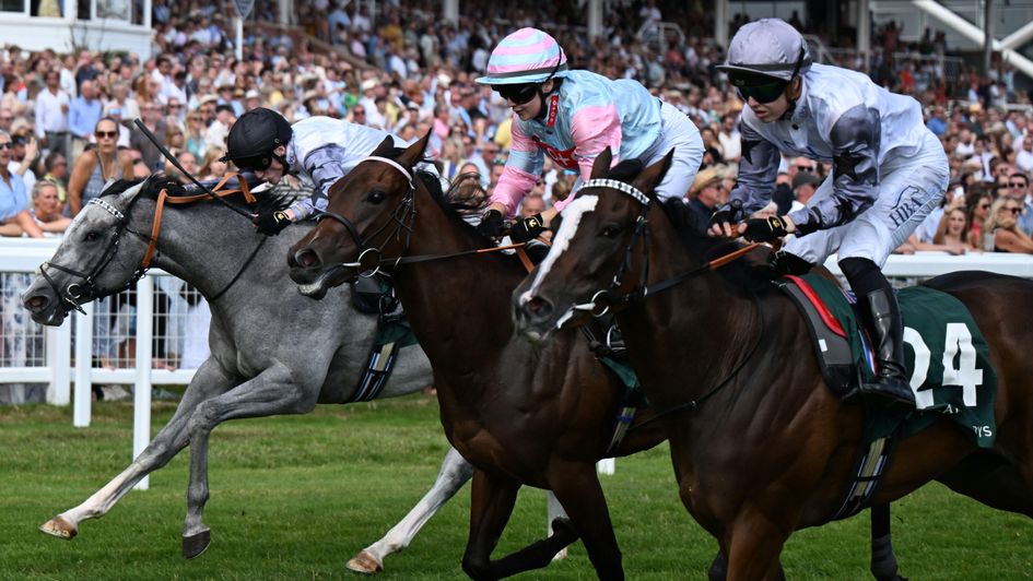 Zigazig Ah (near side) wins a Super Sprint thriller