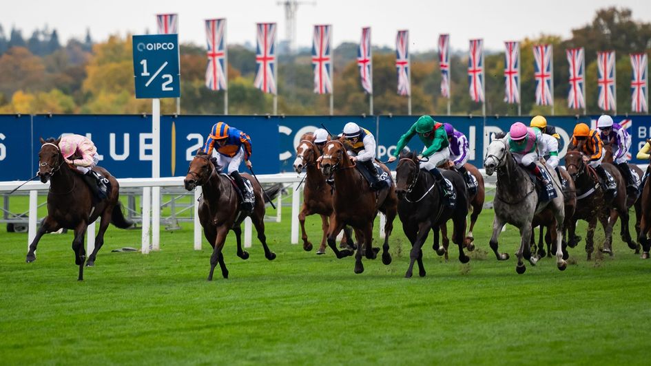 Cicero's Gift (left) caused a shock in the QEII