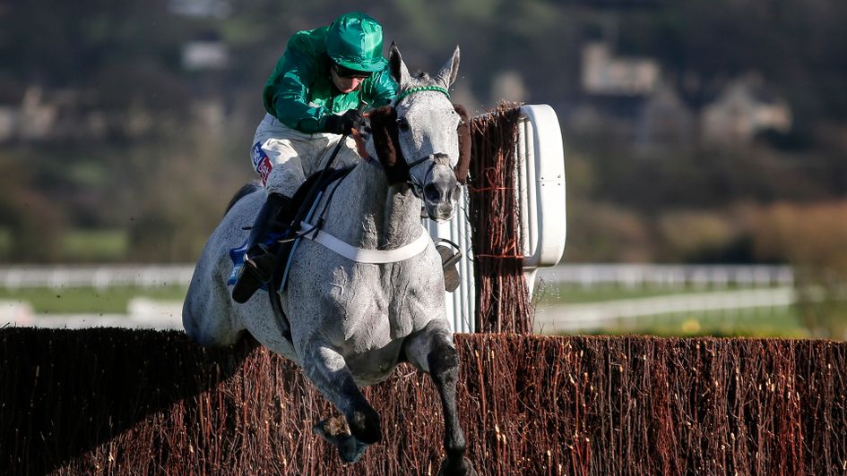 Vyta Du Roc put in a fine round of jumping