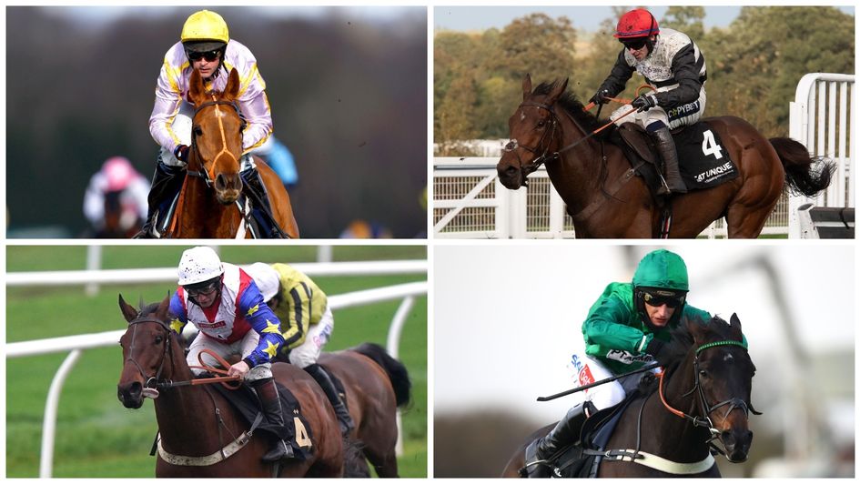 Betfair Exchange Trophy: Horse-by-horse guide